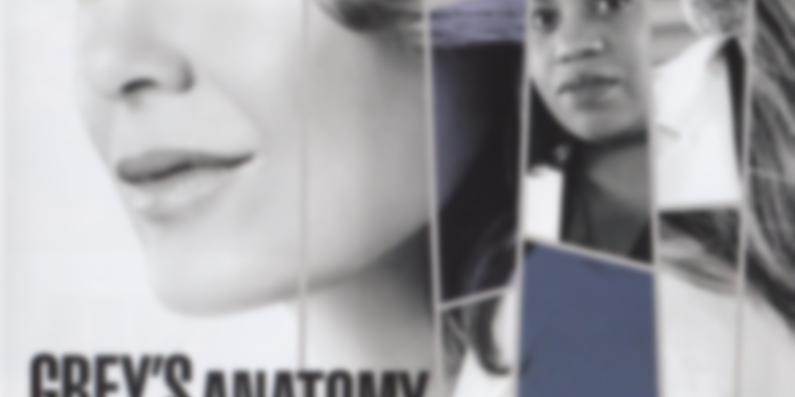 Grey's Anatomy - Staffel 14