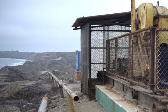 Wir, die Wolfs - Szenenbild 7