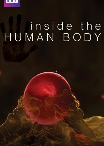 Der menschliche Körper - Poster 1