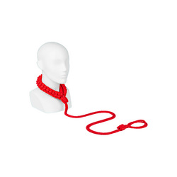 Halsband inkl Leine