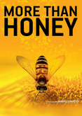 More Than Honey