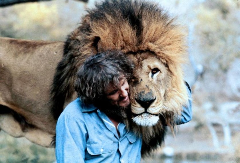 Roar Die Löwen Sind Los Roar Die Löwen Sind Los