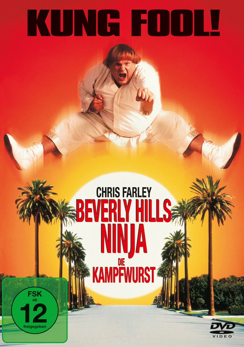 Beverly Hills Ninja.Dvdrip
