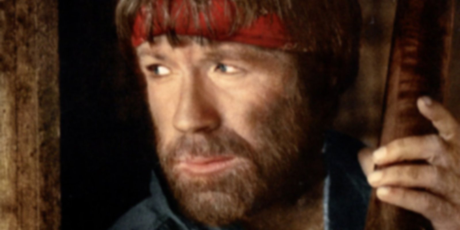 McQuade, der Wolf
