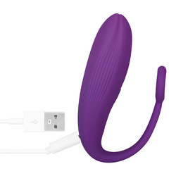 Vibro Ei mit Funkfernbedienung