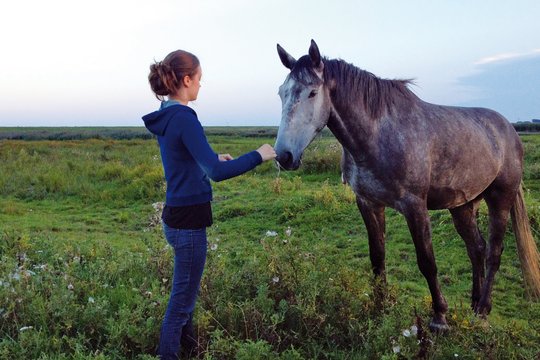 Von Mädchen und Pferden - Szenenbild 6