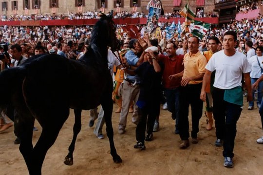 Il Palio - Das Rennen von Siena - Szenenbild 2