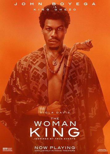 The Woman King - Poster 12