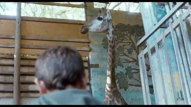 Giraffada - Trailer - Deutsch - SD