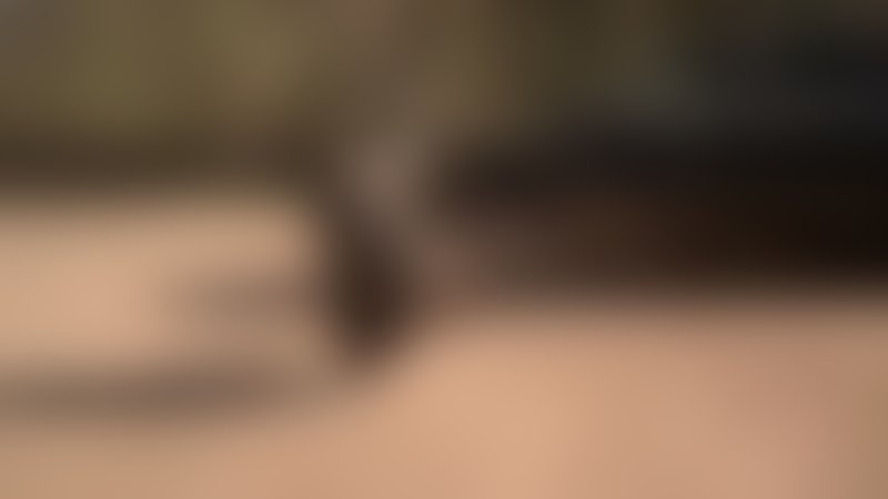 Close Range - Trailer - Englisch - SD