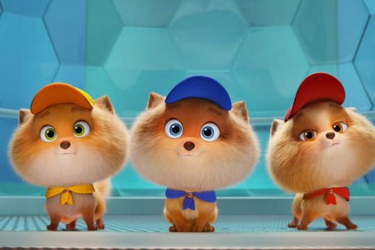 Paw Patrol 2 - Der Mighty Kinofilm - Szenenbild 20