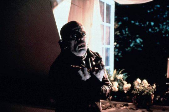 Nosferatu - Phantom der Nacht - Szenenbild 8