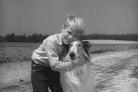 Lassie - Volume 1 - Szenenbild 2