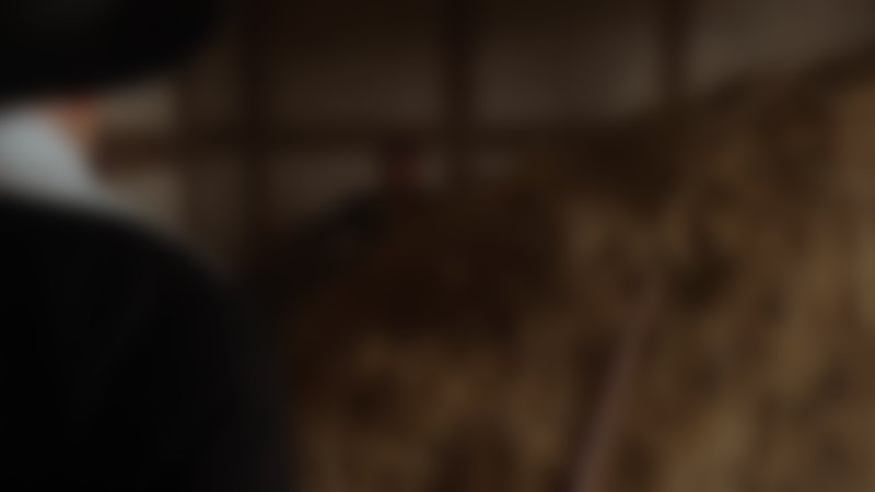 Die Erlösung der Fanny Lye - Trailer - Englisch - HD