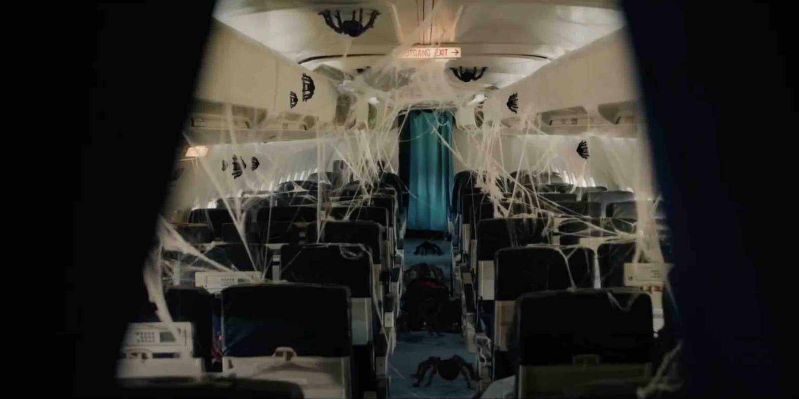 Spiders on a Plane