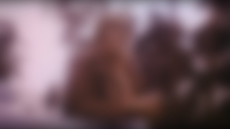 Open Season - Jagdzeit - Trailer - Englisch - SD