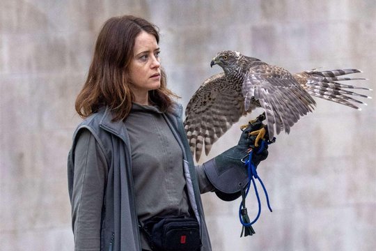 H Is for Hawk - Szenenbild 1