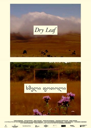 Dry Leaf - Poster 5