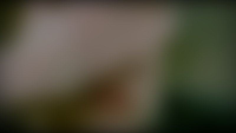 Son - Trailer - Französisch - SD