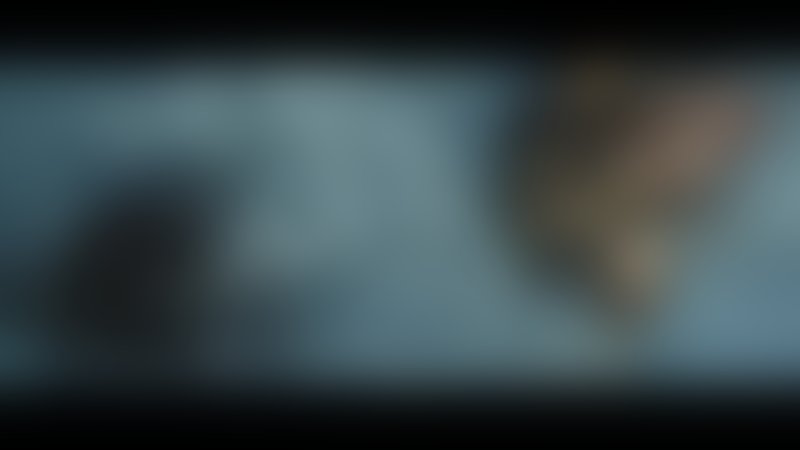 Killing Ground - Trailer - Englisch - SD