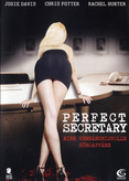 Secretary 2 - Perfect Secretary