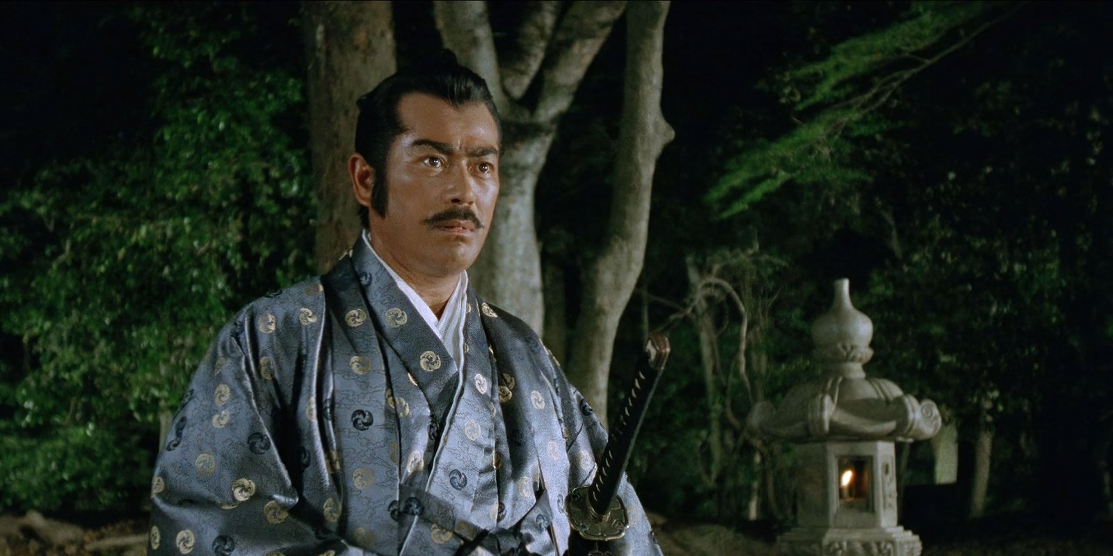Der Schatten des Shogun