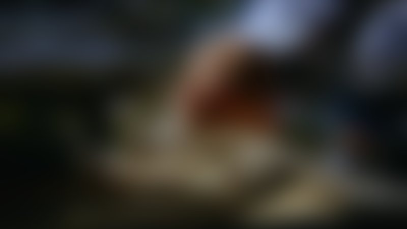 Detention - Trailer - Englisch - SD