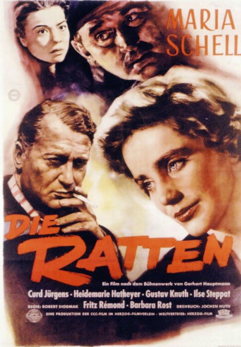 Www.Rtl-Spiele.De Die Ratten Www.Rtl-Spiele.De Die Ratten