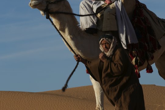 Königin der Wüste - Szenenbild 15