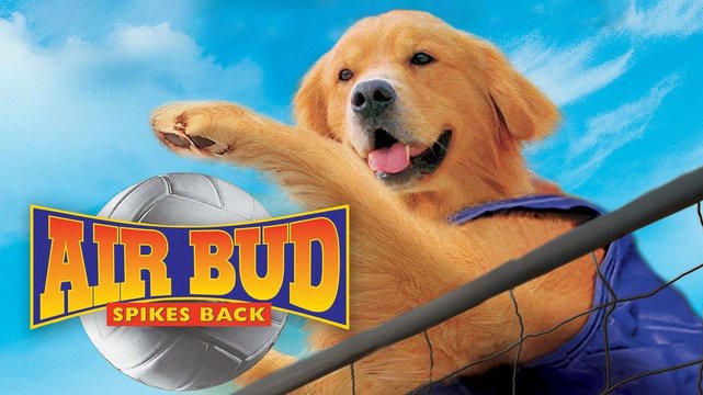 Air Bud 5 - Vier Pfoten schlagen auf - Wallpaper 1