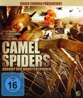 Camel Spiders