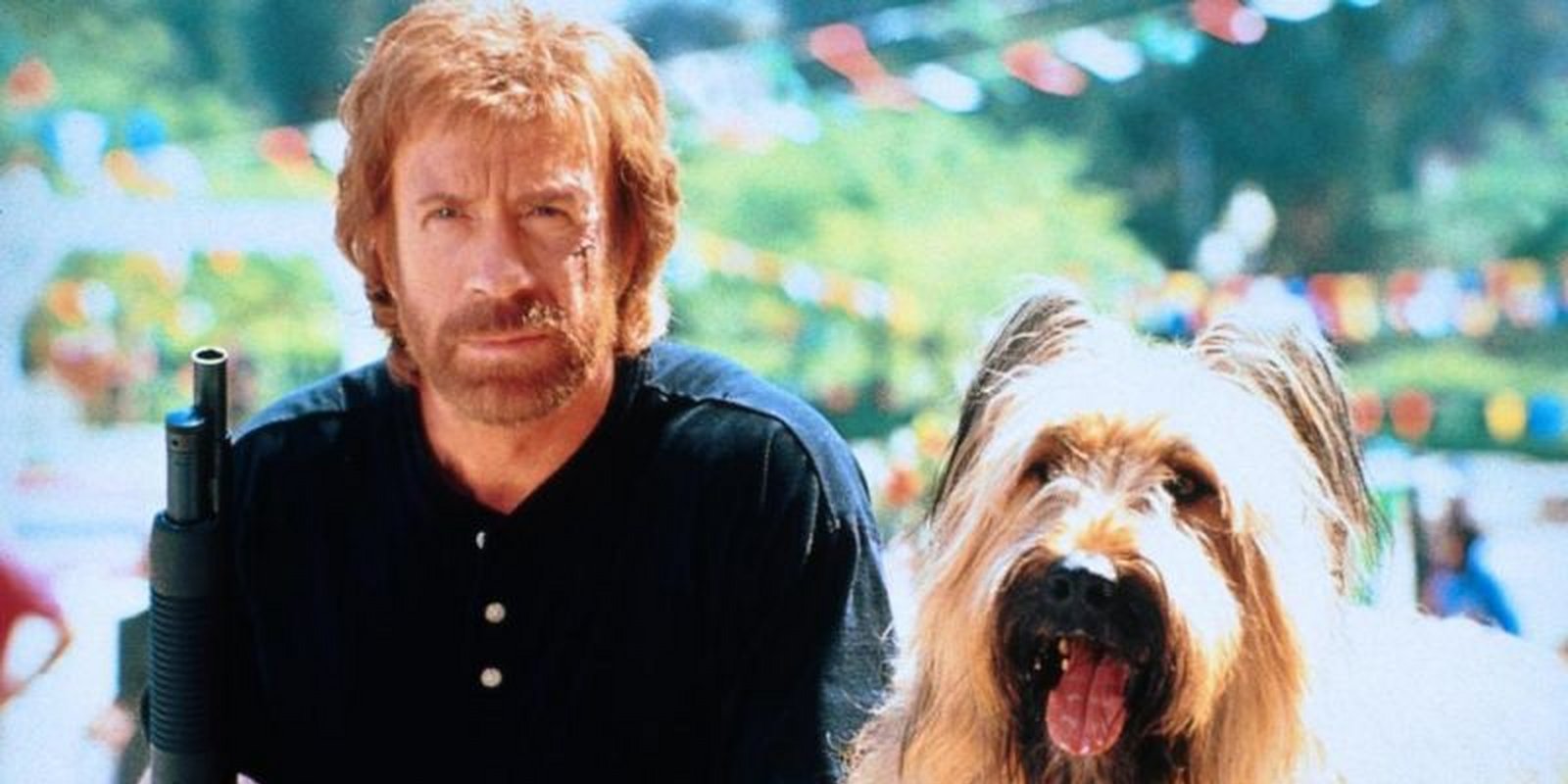 Top Dog