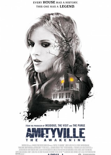 Amityville 9 - The Awakening - Poster 1