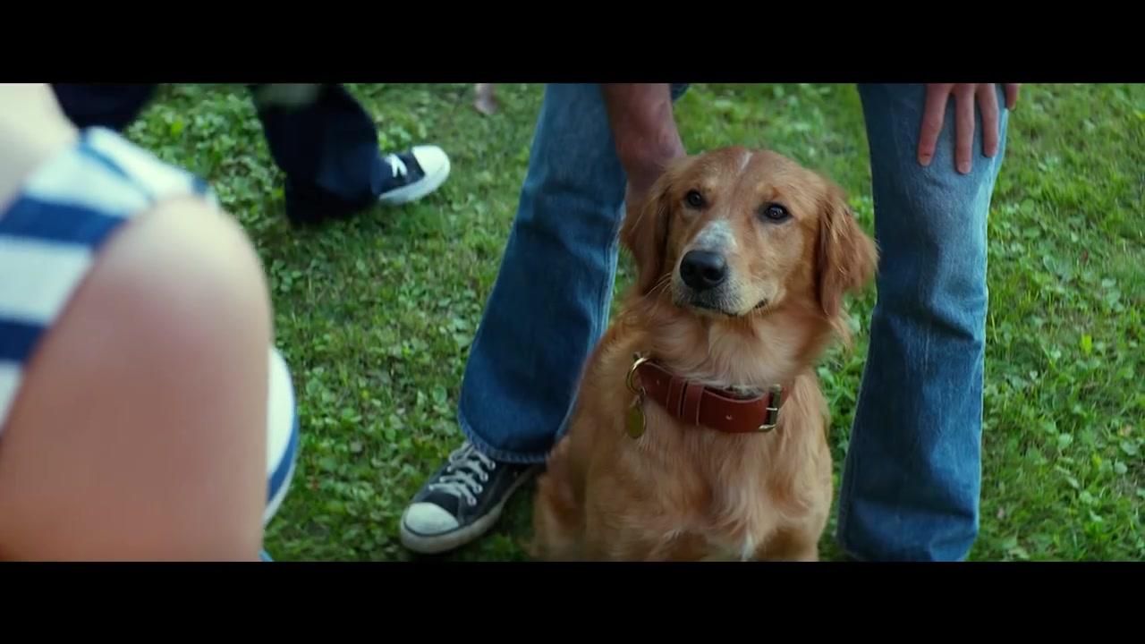 Bailey - Ein Freund fürs Leben - Trailer - Deutsch