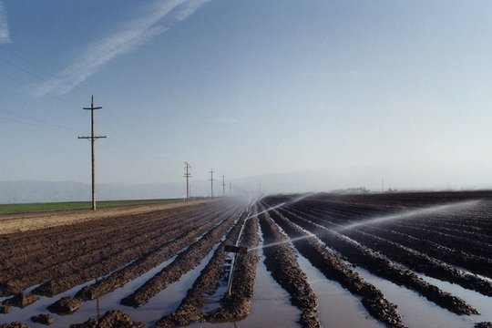 California Trilogy - Szenenbild 1