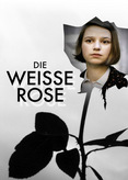 Die weiße Rose