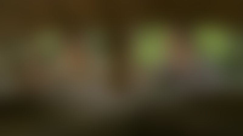 The Woman - Trailer - Deutsch - SD