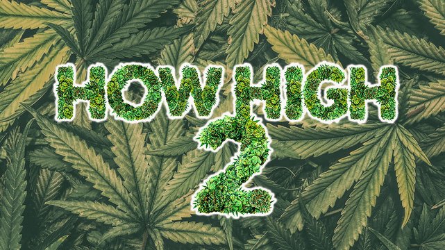 So High 2 - Wallpaper 2