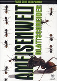 Ameisenwelt