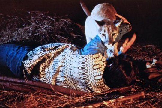 Day of the Animals - Panik in der Sierra Nova - Szenenbild 4