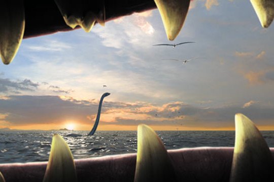 IMAX - Sea Rex 3D - Szenenbild 4