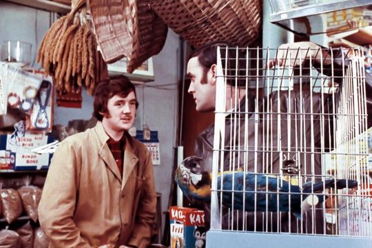 Monty Pythons wunderbare Welt der Schwerkraft - Szenenbild 7