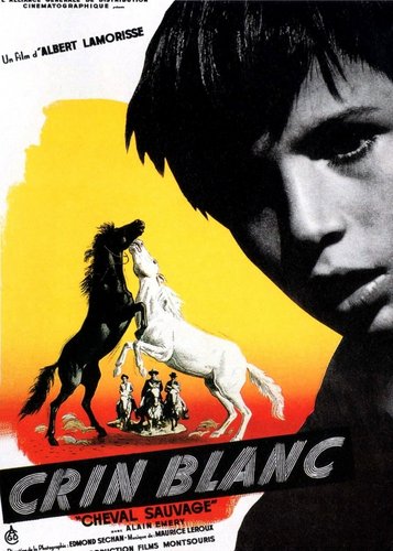 Der weiße Hengst - Poster 2