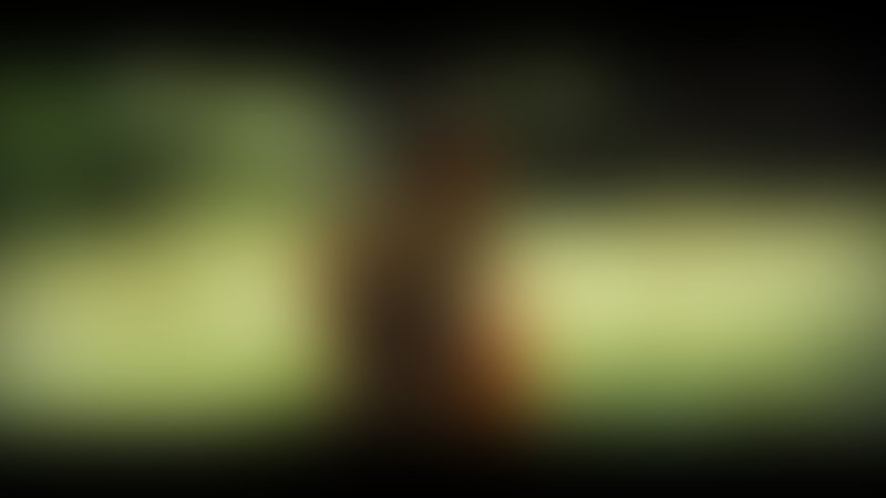 Bedevilled - Trailer - Deutsch - SD