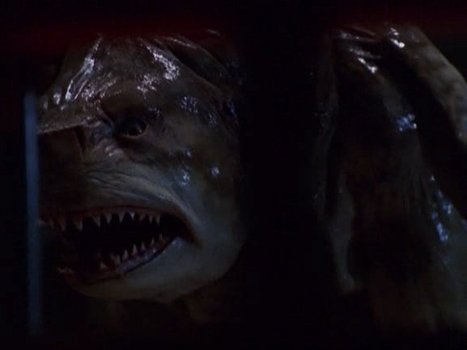Creature Tod Aus Der Tiefe Stream Deutsch Creature Tod Aus Der Tiefe Stream Deutsch