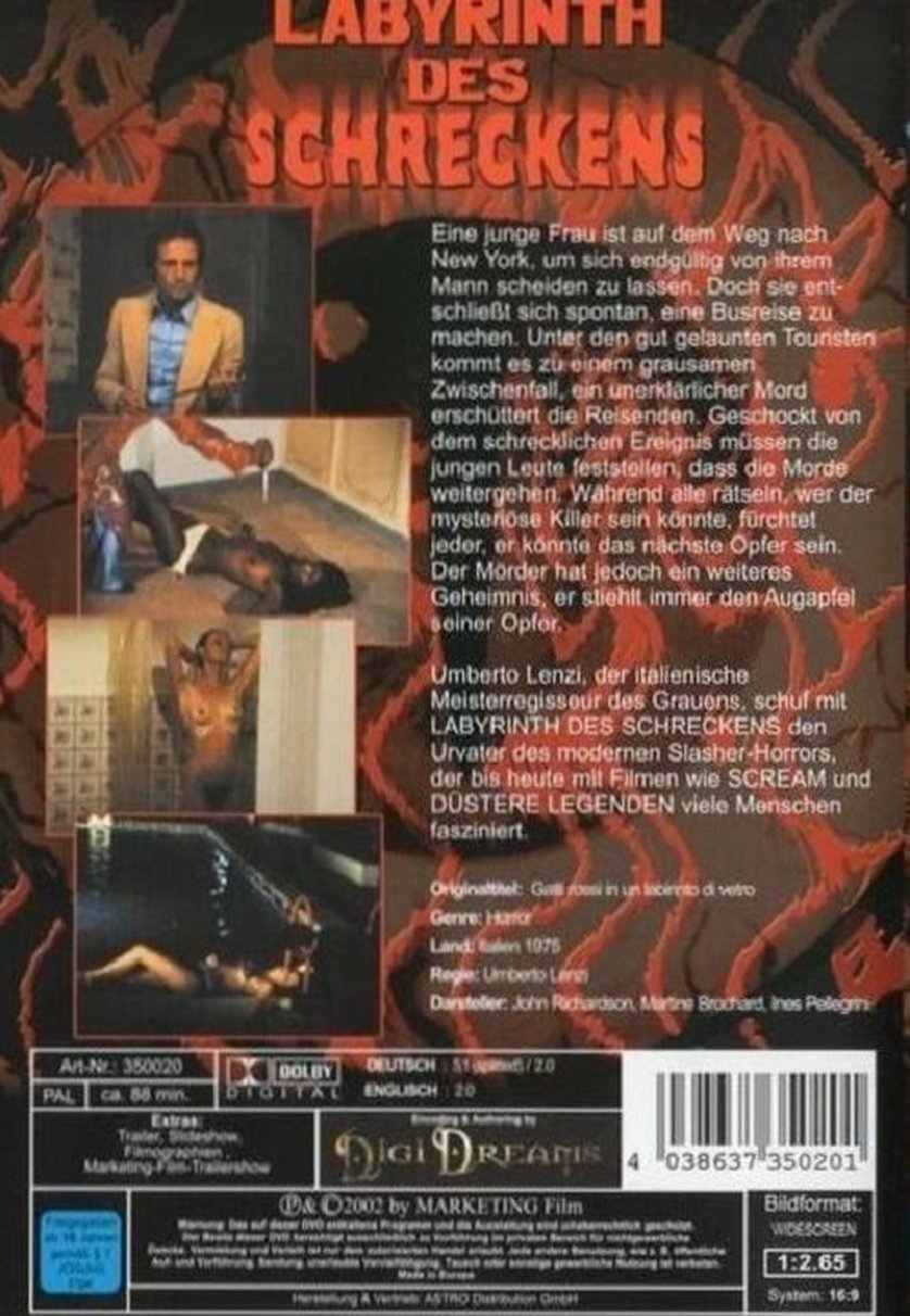 dvd labyrinth 2 dvd labyrinth 2