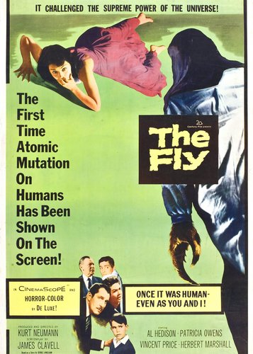 Die Fliege - Poster 1