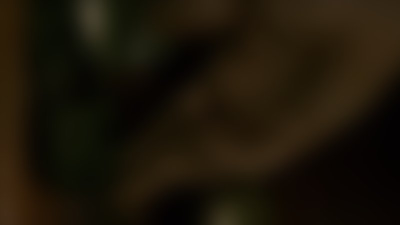 Stay Out - Trailer - Englisch - SD