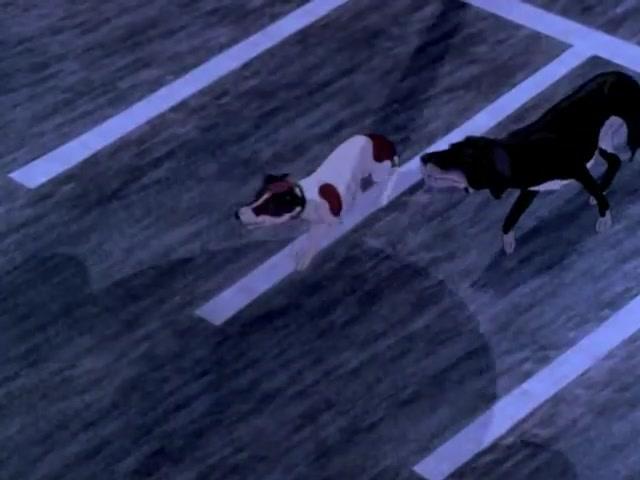 Die Hunde sind los - Trailer - Deutsch - SD