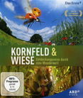 Kornfeld &amp; Wiese